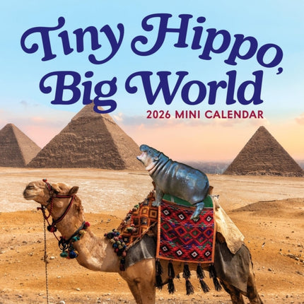 Baby Hippo Sees the World Mini Calendar 2026