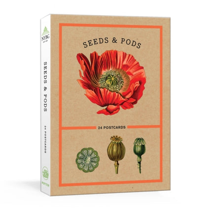 Seeds and Pods: 24 Postcards