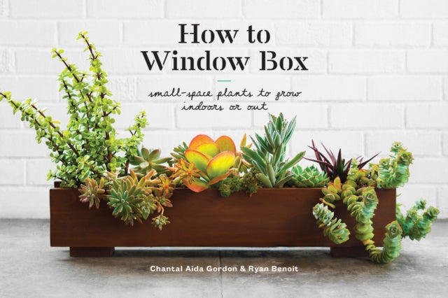 How to Window Box: Small-Space Plants to Grow
