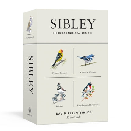 Sibley Birds of Land, Sea, and Sky: 50 Postcards