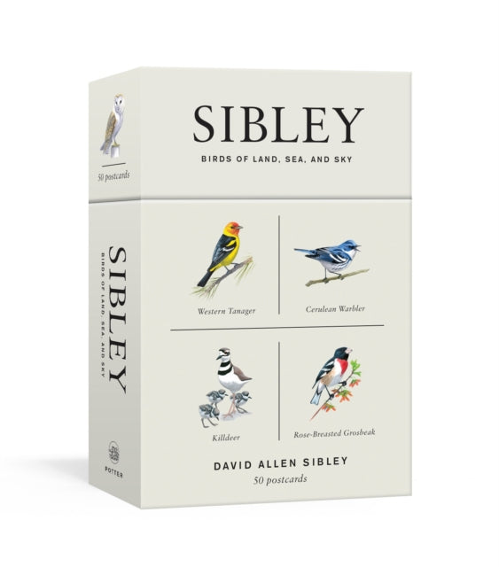 Sibley Birds of Land, Sea, and Sky: 50 Postcards