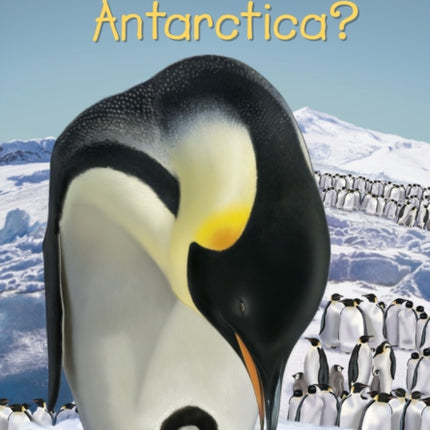 Where Is Antarctica?