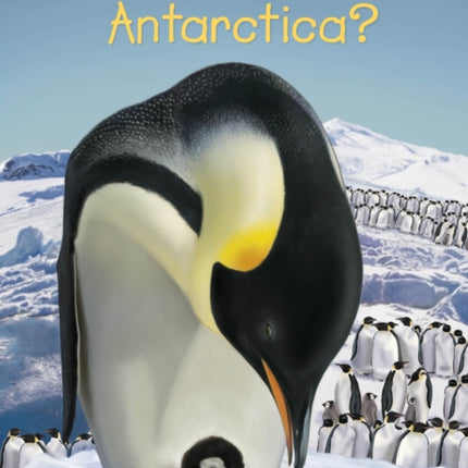 Where Is Antarctica?