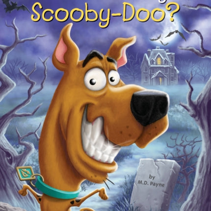 What Is the Story of Scooby-Doo?