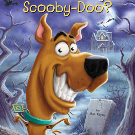 What Is the Story of Scooby-Doo?