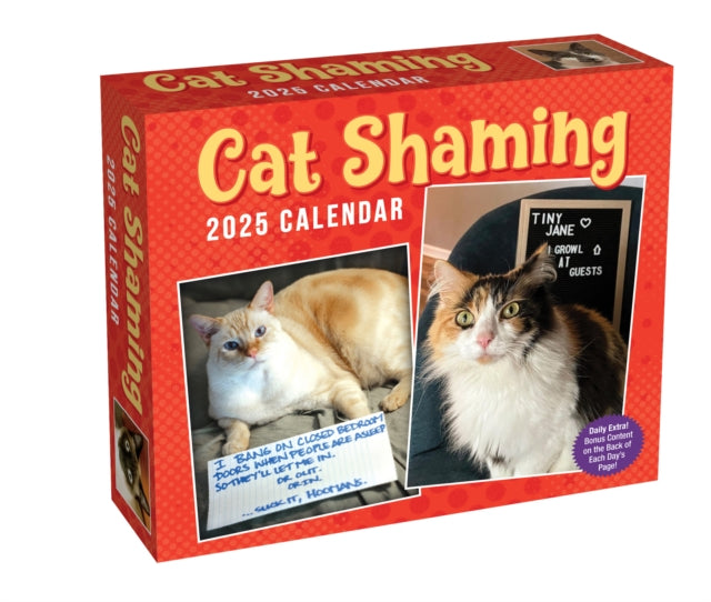 Cat Shaming 2025 DaytoDay Calendar