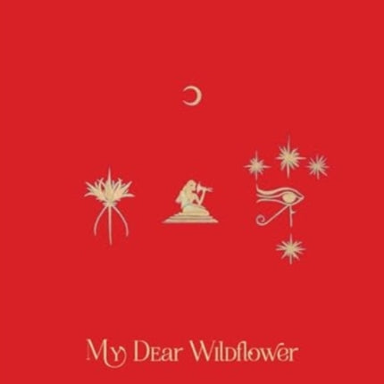 My Dear Wildflower