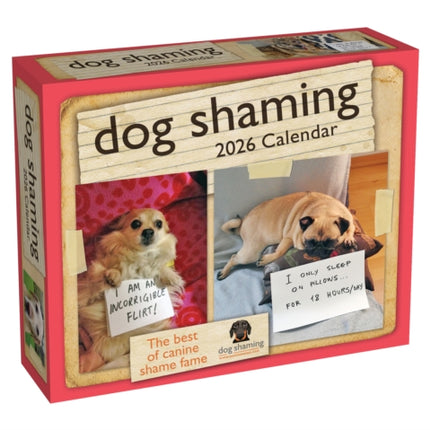 Dog Shaming 2026 DaytoDay Calendar