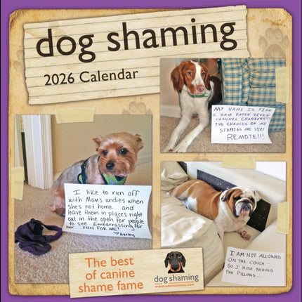 Dog Shaming 2026 Wall Calendar