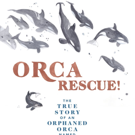 Orca Rescue!: The True Story of an Orphaned Orca Named Springer