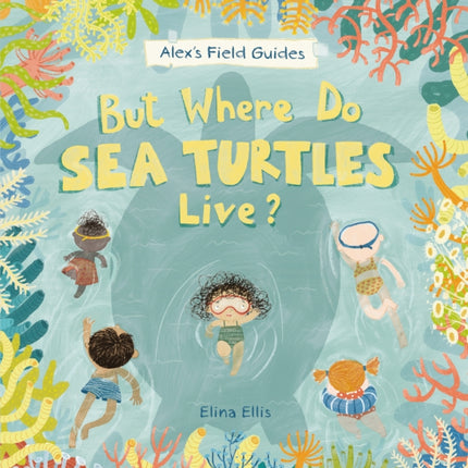 But Where Do Sea Turtles Live