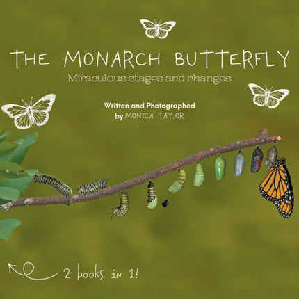 The Monarch Butterfly and The Cecropia Moth