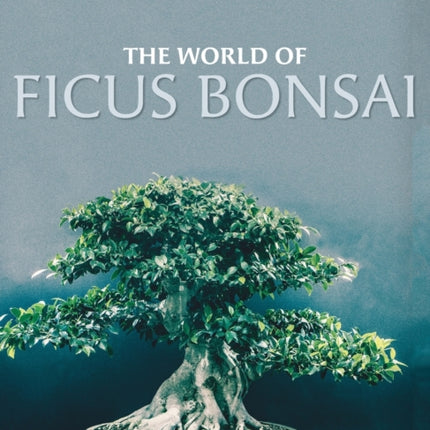 The World of Ficus Bonsai