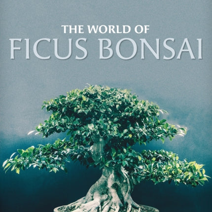The World of Ficus Bonsai