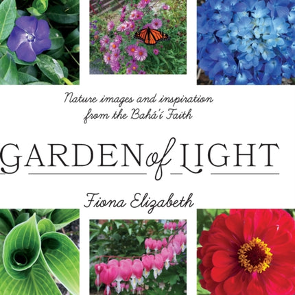 Garden of Light: Nature images and inspiration
