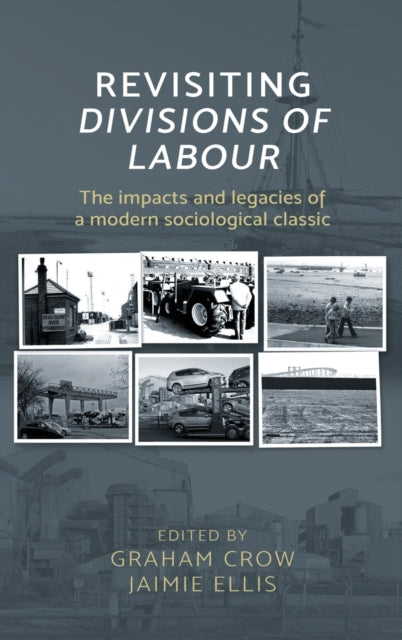 Revisiting  Divisions of Labour: The Impacts and