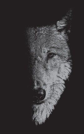 In the Company of Wolves: Werewolves, Wolves and