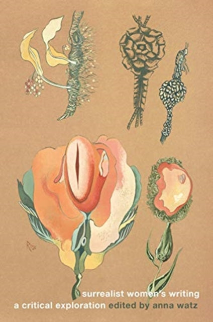 Surrealist Women's Writing: A Critical