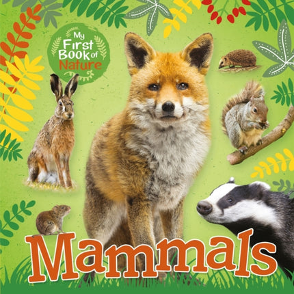 My First Book of Nature: Mammals