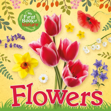 My First Book of Nature: Flowers