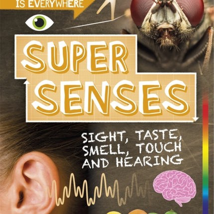 Science is Everywhere: Super Senses: Sight, taste, smell, touch and hearing