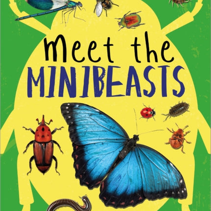 Meet the Minibeasts