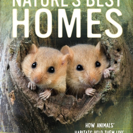 Nature's Best: Homes