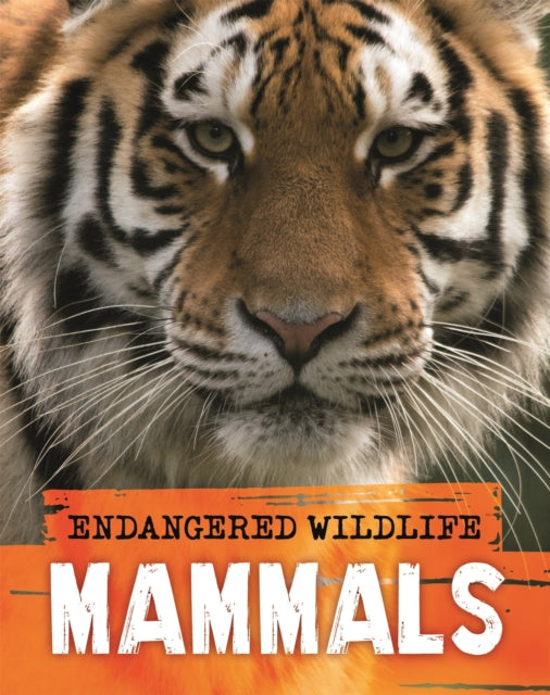 Endangered Wildlife Rescuing Mammals