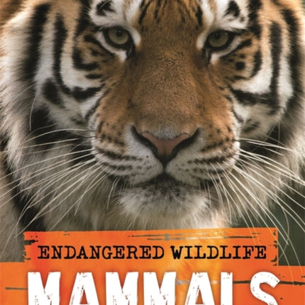 Endangered Wildlife: Rescuing Mammals