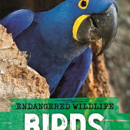 Endangered Wildlife Rescuing Birds