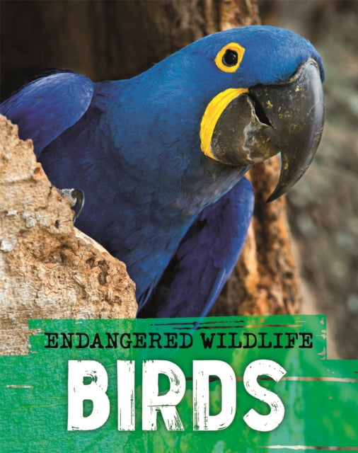 Endangered Wildlife Rescuing Birds