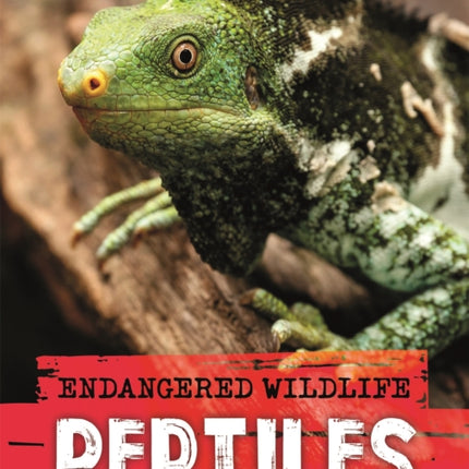 Endangered Wildlife Rescuing Reptiles