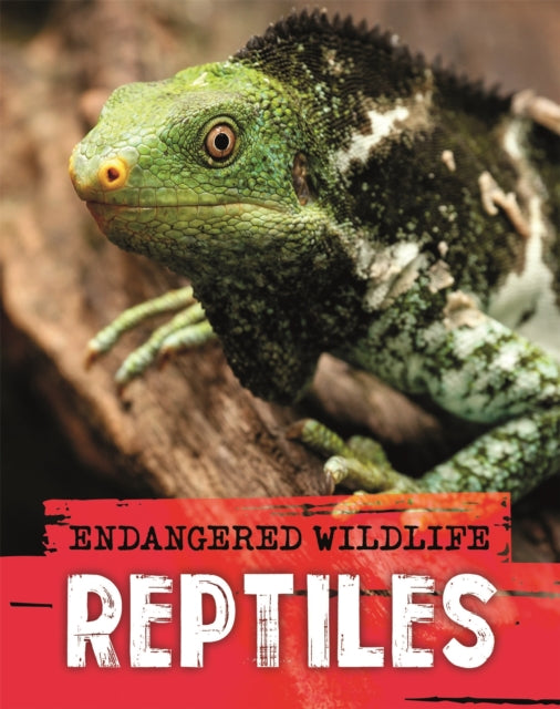 Endangered Wildlife Rescuing Reptiles