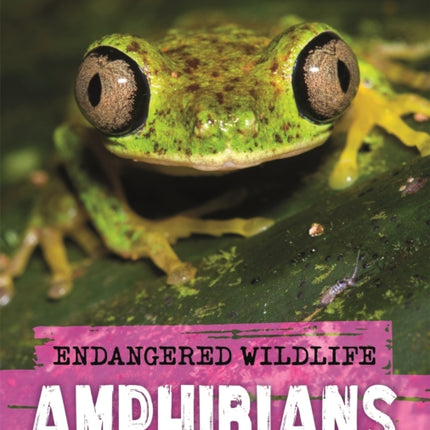 Endangered Wildlife Rescuing Amphibians