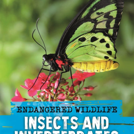 Endangered Wildlife Rescuing Insects and