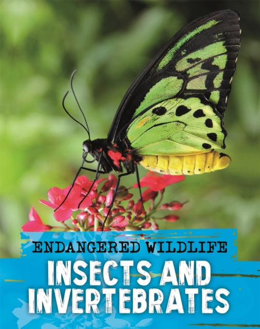 Endangered Wildlife Rescuing Insects and Invertebrates