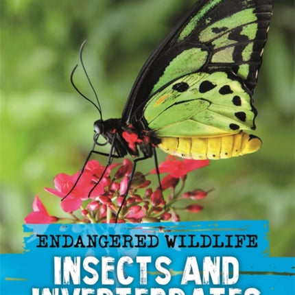 Endangered Wildlife: Rescuing Insects and Invertebrates