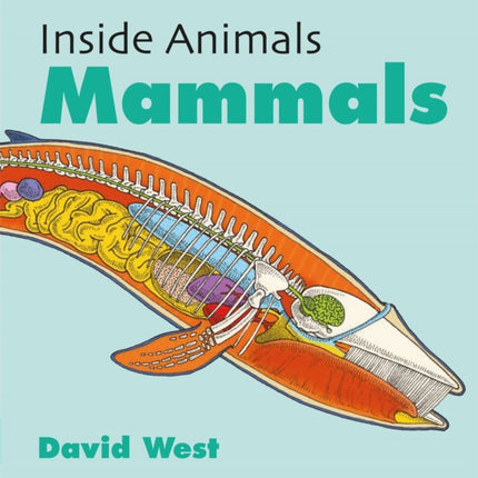 Inside Animals Mammals