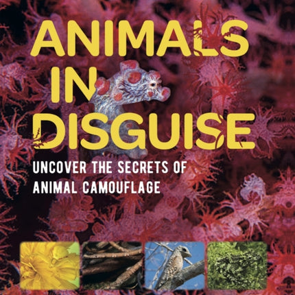 Animals in Disguise