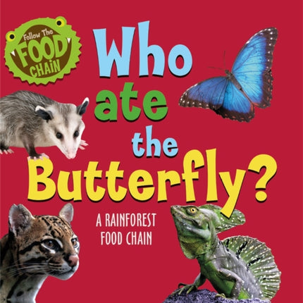 Who Ate the Butterfly A Rainforest Food Chain Follow the Food Chain