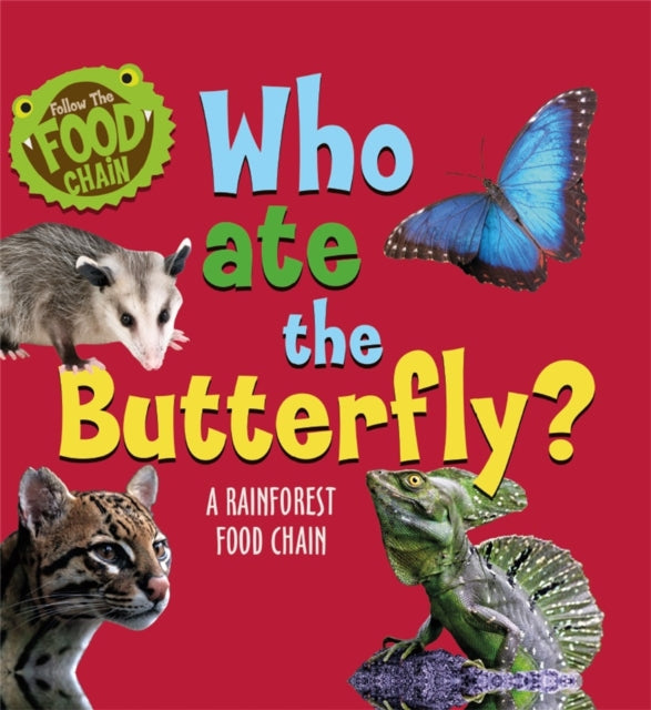 Who Ate the Butterfly A Rainforest Food Chain Follow the Food Chain