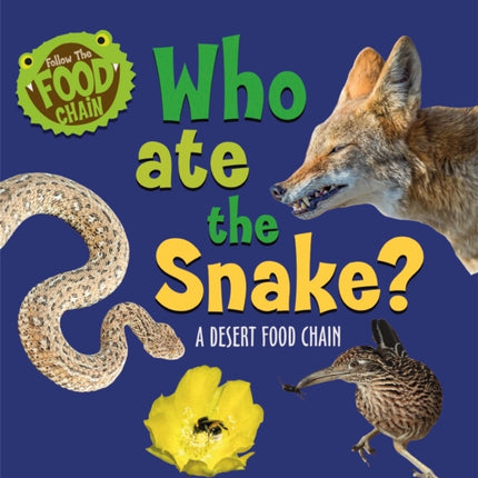 Who Ate the Snake A Desert Food Chain Follow the Food Chain