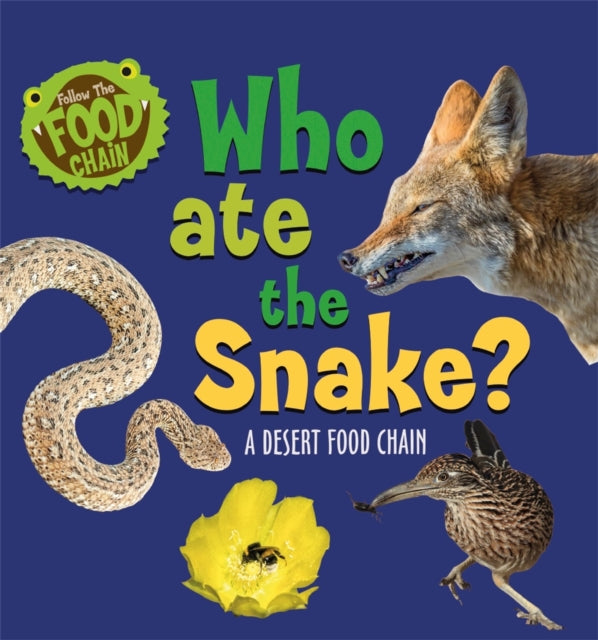 Who Ate the Snake A Desert Food Chain Follow the Food Chain