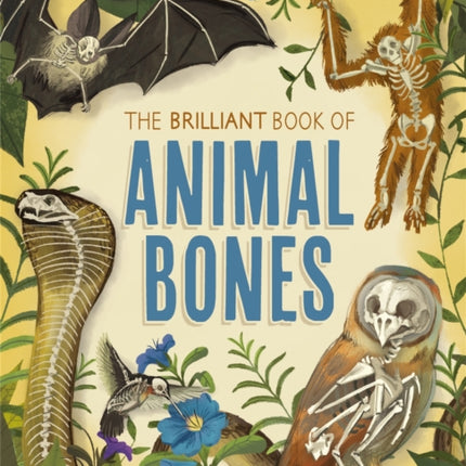 The Brilliant Book of Animal Bones