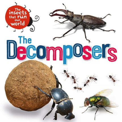 The Insects that Run Our World The Decomposers