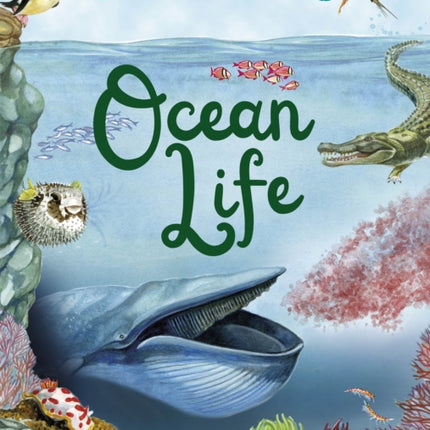 The Oceans Explored: Ocean Life