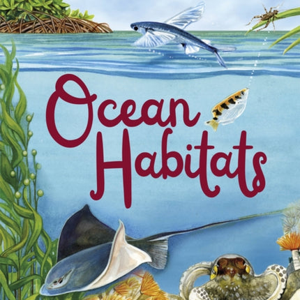 The Oceans Explored: Ocean Habitats