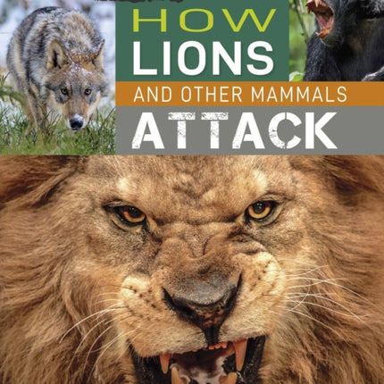 Predator vs Prey: How Lions and other Mammals Attack