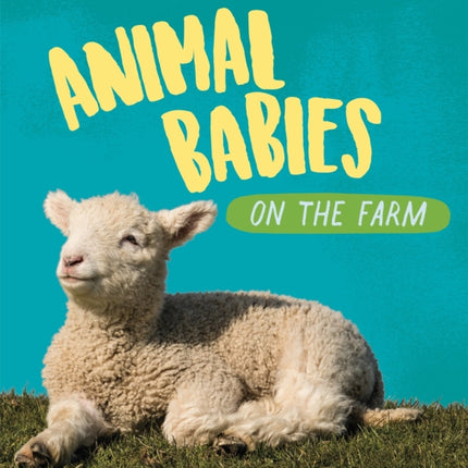 Animal Babies: On the Farm