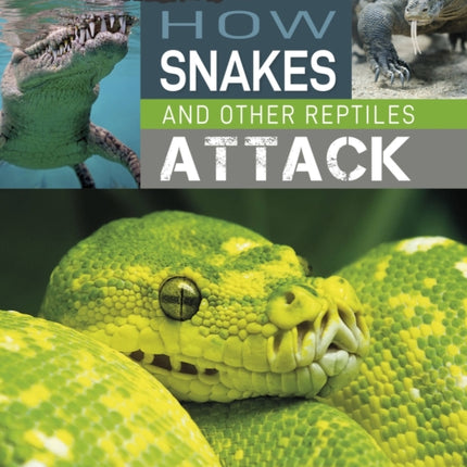 Predator vs Prey: How Snakes and other Reptiles Attack